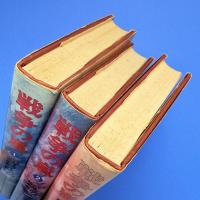 戦争の嵐 全3巻