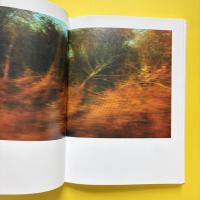 リバーシブルな未来 日本・オーストラリアの現代写真 カタログ