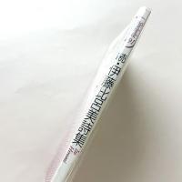 続・伊藤比呂美詩集