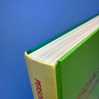 Personal Structures Culture・Mind・Becoming