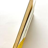 斎藤庸一詩集　地球叢書2