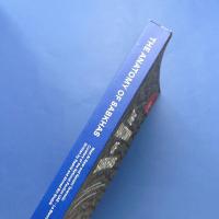 The Anatomy of Sabkhas