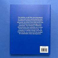 The Anatomy of Sabkhas