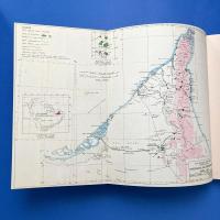 The Anatomy of Sabkhas