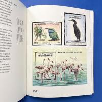 The Anatomy of Sabkhas