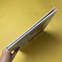 Ghost Money, Tome 3 : Mourir à Dubaï