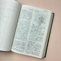 東京百科事典 普及版