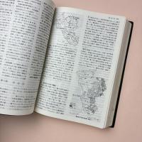 東京百科事典 普及版