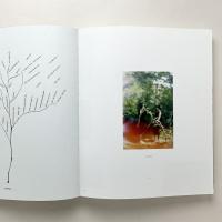 “not in fashion”｜Mark Borthwick