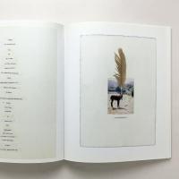 “not in fashion”｜Mark Borthwick