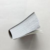 Australian Oxford Mini Dictionary：Fourth Edition