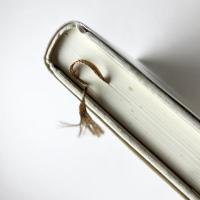 東京風土図 愛蔵版