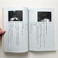 パントマイムの心と身体 - 白塗りの道化師