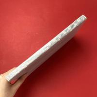 近代芸術の革命