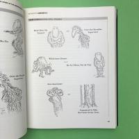 Information Anxiety 2