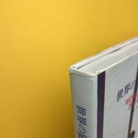 世界の集合住宅：20世紀の200