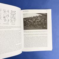 Rethinking Curating: Art after New Media