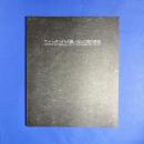 マンハッタンからの風　5人の現代美術