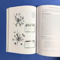 The Architecture of Information: Architecture, Interaction Design and the Patterning of Digital Information