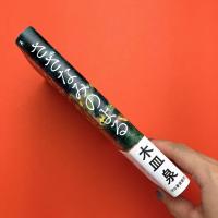 さざなみのよる