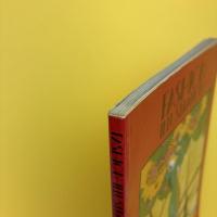 Fashion Illustration