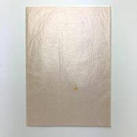 詩集 音のない部分