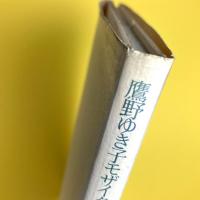 鷹野ゆき子モザイク画作品集　1967~1989