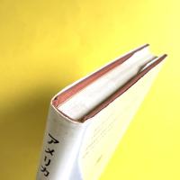 叢書・ウニベルシタス232　アメリカ―砂漠よ永遠に