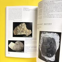オープンラボ――太陽系から人類へ　UMUT Hall of Inspiration