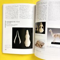 オープンラボ――太陽系から人類へ　UMUT Hall of Inspiration