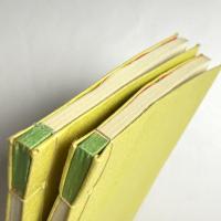 特選　名著復刻全集　近代文学館
柳橋新誌　奎章閣版　全2冊