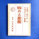 病める薔薇（精撰　名著復刻全集　近代文学館）