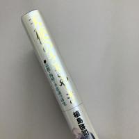 天使のささやき - 宗教・陶酔・不思議の研究