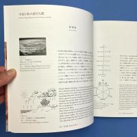 向井周太郎　世界プロセスとしての身振り