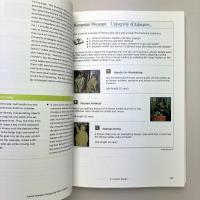 Designing Web Usability