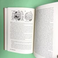 The Symbolic Species: The Co-evolution of Language and the Brain