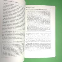 Mental Leaps: Analogy in Creative Thought