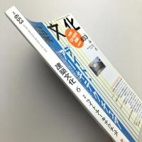 建築文化 2001年6月号　〈第56巻第653号〉
特集：ライト・アーキテクチュア
