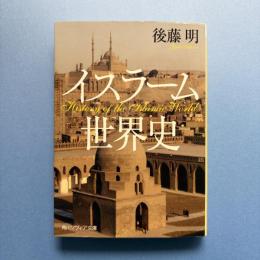 イスラーム世界史 (角川ソフィア文庫)