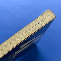 Coop Himmelblau: Architektur ist Jetzt
