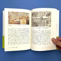 図像の哲学
いかにイメージは意味をつくるか