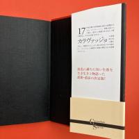 カラヴァッジョの秘密