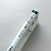 子規は何を葬ったのか：空白の俳句史百年