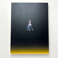 china crossroads of culture 中国：美の十字路展