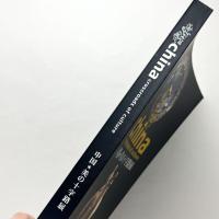 china crossroads of culture 中国：美の十字路展