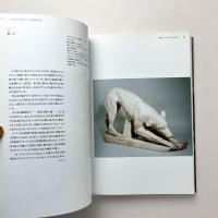 美術のなかの動物表現 : ヴァチカン美術館所蔵品による