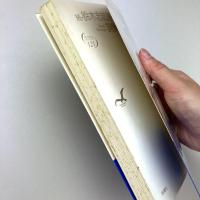 現代詩文庫
続・鈴木志郎康詩集