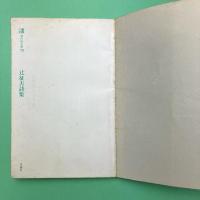 辻征夫詩集 (現代詩文庫78)