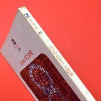 白石かずこ詩集 (現代詩文庫 28)