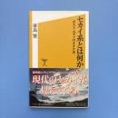 セカイ系とは何か ポスト・エヴァのオタク史